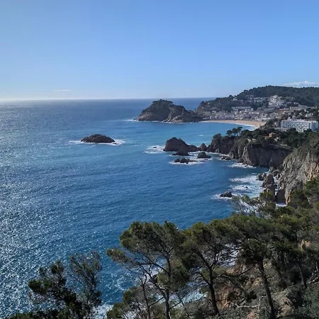公寓 Tropicana-30m De La Playa Con Parking Y A/c *