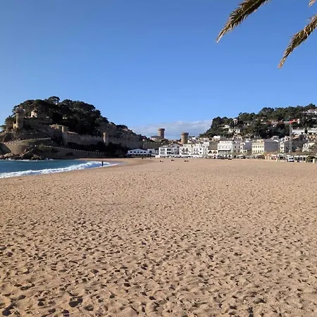 公寓 Tropicana-30m De La Playa Con Parking Y A/c *